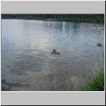 2010-07-04 - 13-58-30.JPG